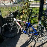 Bici bottecchia