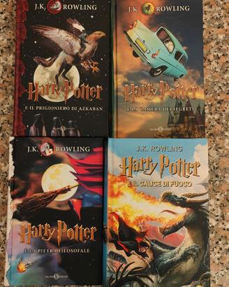Libro Harry Potter