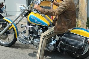 Harley Davidson Softail Custom 1340