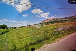 TER. AGRICOLO A TREVI