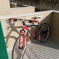 Bici Ibrida