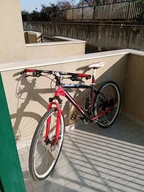 Bici Ibrida