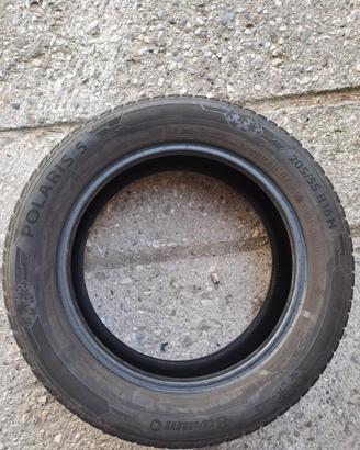 Gomme invernali Barum Polaris 5 205/55 R16 91H