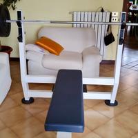 Panca piana professionale