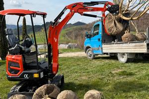 Mini escavatore 18 quintali kubota powered