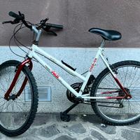 Bicicletta Mtb
