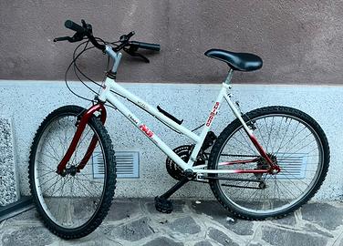 Bicicletta Mtb