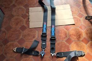 Cinture racing scadute