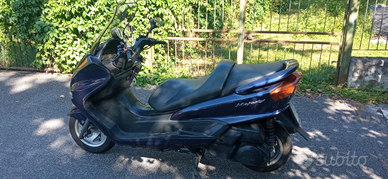 Yamaha Majestic 250