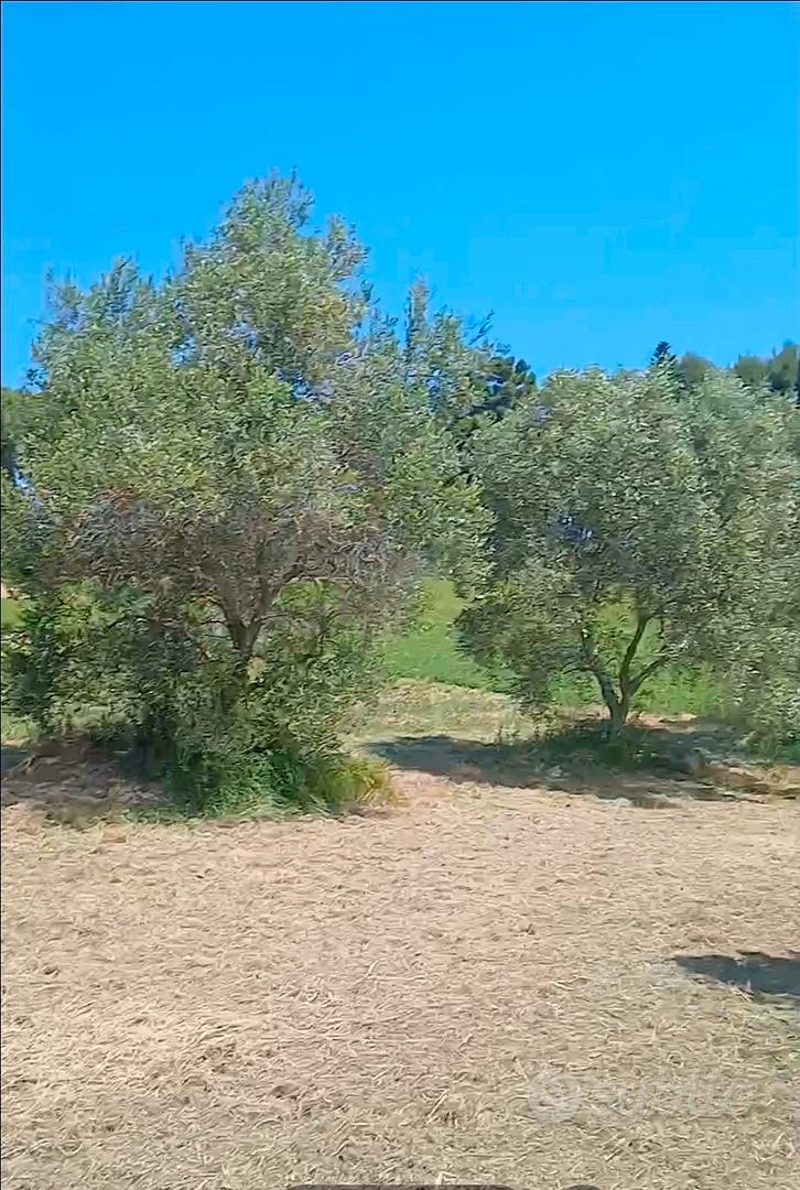 terreno agricolo Potenza Picena - Vista 2