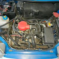 fiat 600 