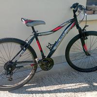MTB ragazzo, ruota 26