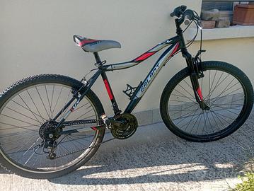 MTB ragazzo, ruota 26