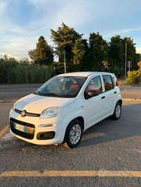 Panda 1.0 hybrid