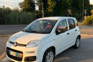 Panda 1.0 hybrid