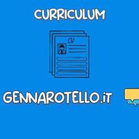 Elaborazione Curriculum Vitae