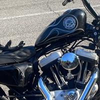 Scarichi vance hines short