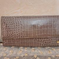 Borsa di carpisa prima che cambise il logo