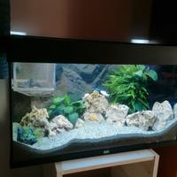 Acquario Juwel Rio 125
