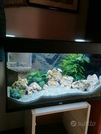 Acquario Juwel Rio 125