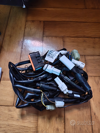 Cablaggio Rapid Bike T-Max