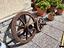 Immagine 2
