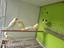 Immagine 1
