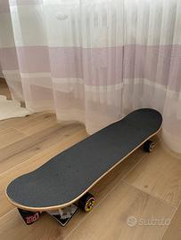 santa cruz skateboard