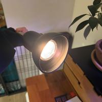 Lampada per terrario