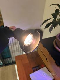 Lampada per terrario