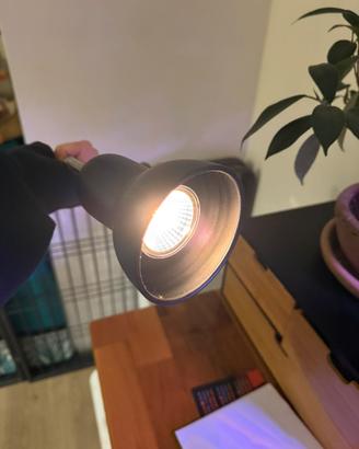 Lampada per terrario