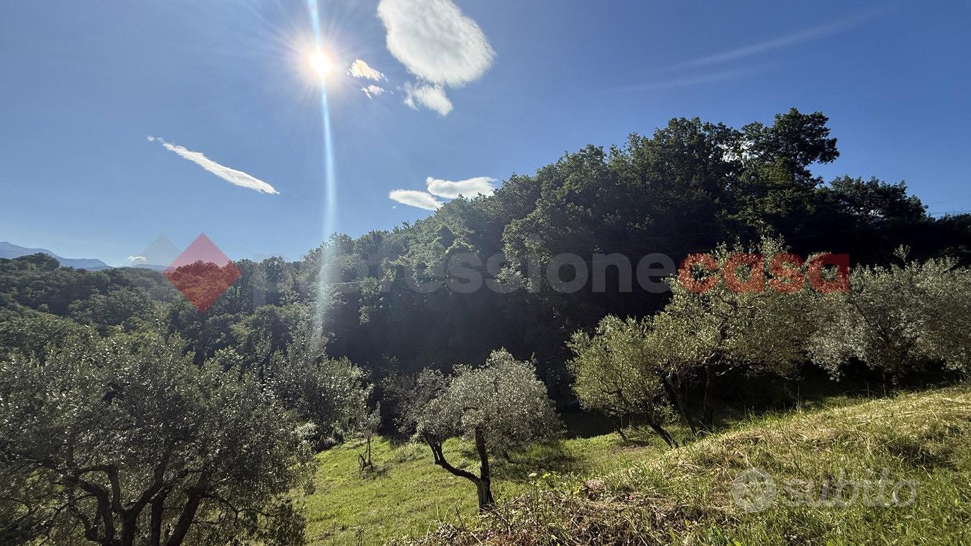 Terreno Agricolo Fumone [Cod. rif 3318314VRG] - View 6