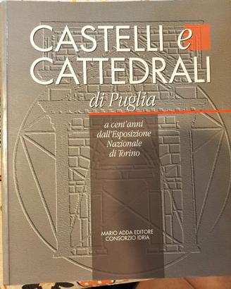 libro storia dell arte Chiese e cattedrali 