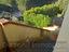 Immagine 11