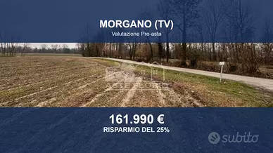 Immobile in asta di 35262 m² a Morgano