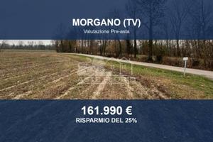 Immobile in asta di 35262 m² a Morgano