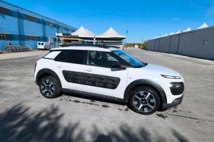 c4 cactus