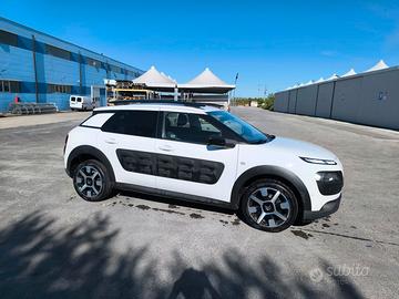 c4 cactus