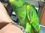 Immagine 4