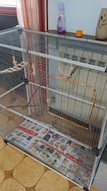 voliera per uccelli fatta a mano