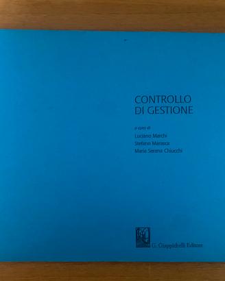 Controllo Di Gestione