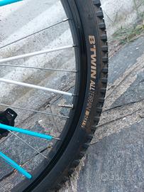 Bicicletta bike 
