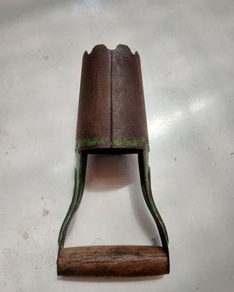vecchio Pianta bulbi-foraterra Polar Cm 22 X Cm 6 