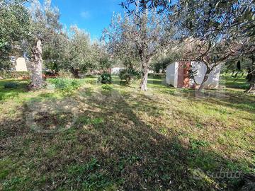 Terreno Residenziale Vasto [IM202593VRG]
