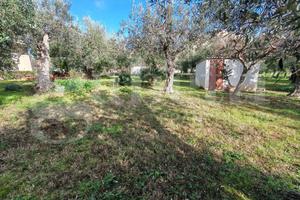 Terreno Residenziale Vasto [IM202593VRG]