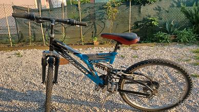 bicicletta ruote 24