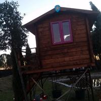 casetta su albero