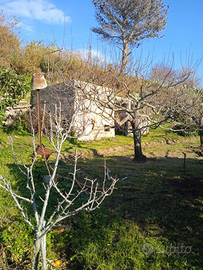 Rudere più terreno quattropani