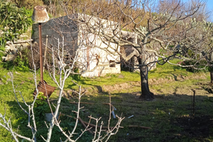 Rudere più terreno quattropani