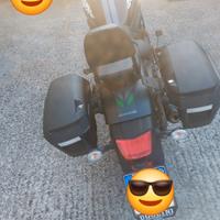 Kawasaki vulcan s agosto 2023